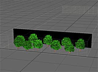 Trees1.jpg