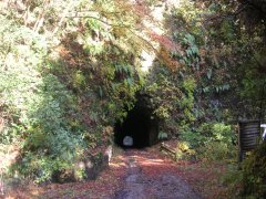 林道志組線　素彫りトンネル１