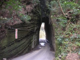 巨大巣彫りトンネル
